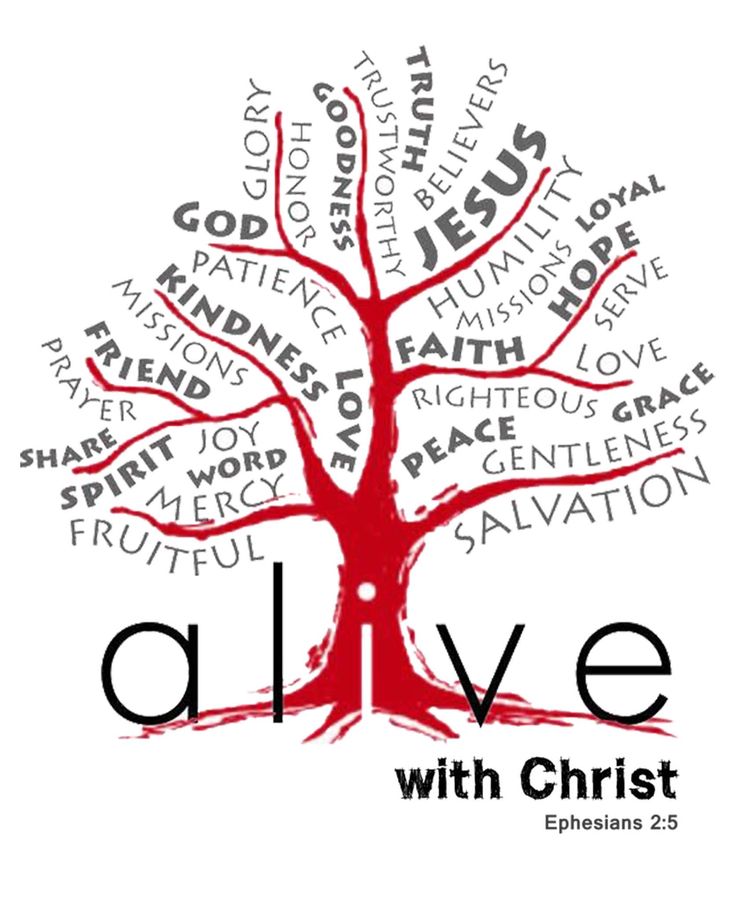 Morning Worship for Sunday 16th November & What’s On